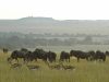 kenia-764