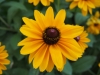 P8271438