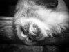 P8301650