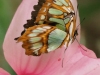P6100214