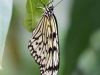 P6100228