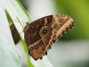 P6100231