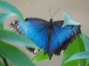 P6100234
