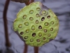 P6100250