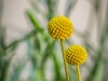P6100251