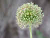 P6100252