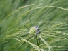 P6100260