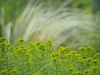P6100275