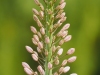 P6100277