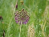 P6100284