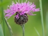P6100291