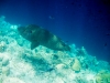 p5030394