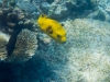 p5030465