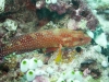 p5110181