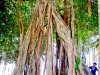 img_0373