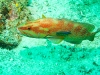 img_2740
