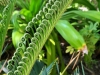 62D741AD-9B97-4D54-85BE-82653202CF71