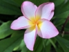 70D72A58-74D2-4E58-9989-A398CCBAC8CB