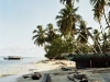 einheimische Insel