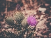 P1011143