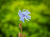 P1011146