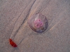 p9301178
