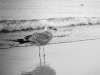 p9301213