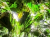 img_2125