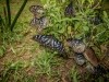 20140623-img_0384