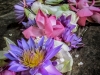 20140625-img_0525_0