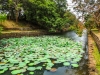 20140625-img_0577