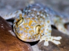 thailand-2013-121