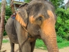 thailand-2013-169