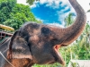 thailand-2013-174