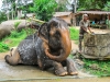 thailand-2013-175