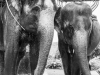 thailand-2013-178