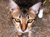 thailand-2013-212