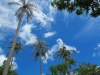 thailand-2013-239