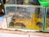 thailand-2013-241