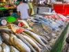 thailand-2013-252