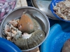 thailand-2013-255