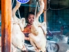 thailand-2013-28
