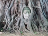 thailand-2013-65