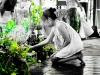 thailand-0132