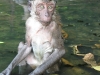 thailand-0661