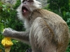 thailand-0671