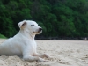 thailand-0738