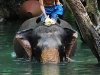 thailand-1123