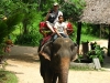 thailand-1134