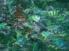 thailand-1702_0
